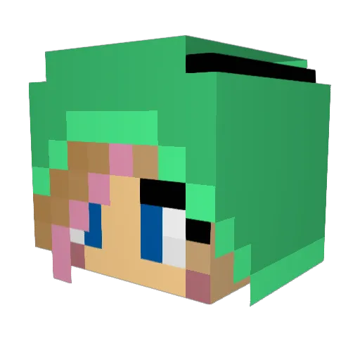 Sunshinekitty10 Minecraft avatar head, 3D render