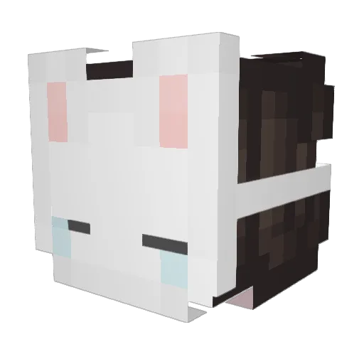 Sunshining Minecraft avatar head, 3D render