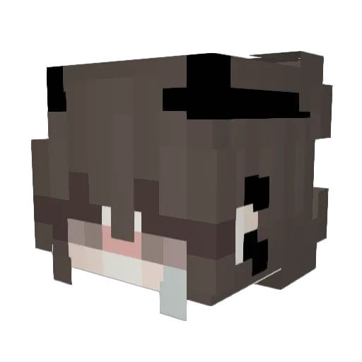 Sunshro0m Minecraft avatar head, 3D render