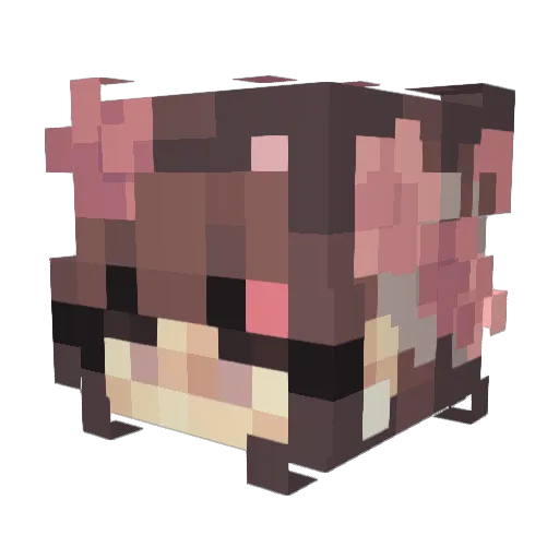Sunsoups Minecraft avatar head, 3D render