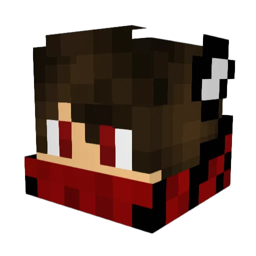 Sunsurfer10959 Minecraft avatar head, 3D render