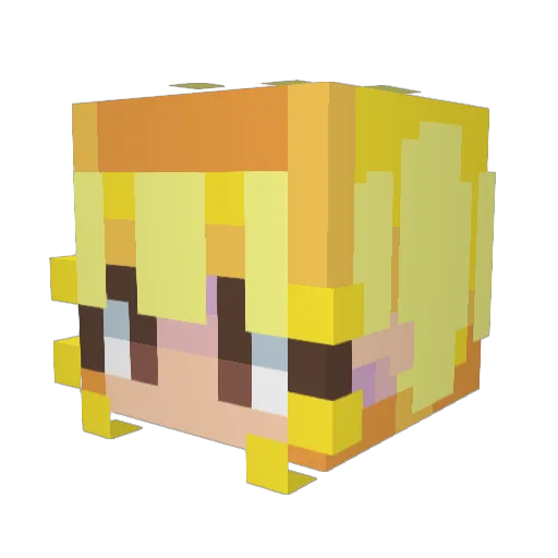 Suntails Minecraft avatar head, 3D render