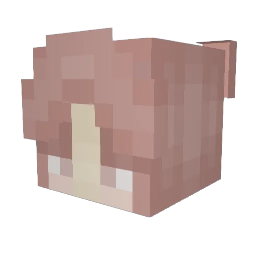 Suntima Minecraft avatar head, 3D render