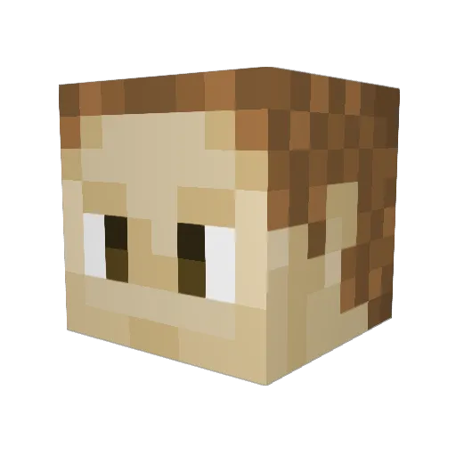 Sunva_ Minecraft avatar head, 3D render