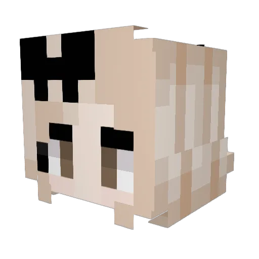 Sunwalkers Minecraft avatar head, 3D render
