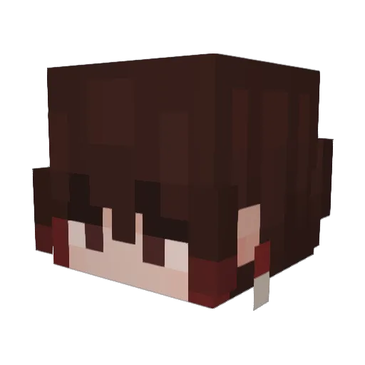 Sunwoo1217 Minecraft avatar head, 3D render