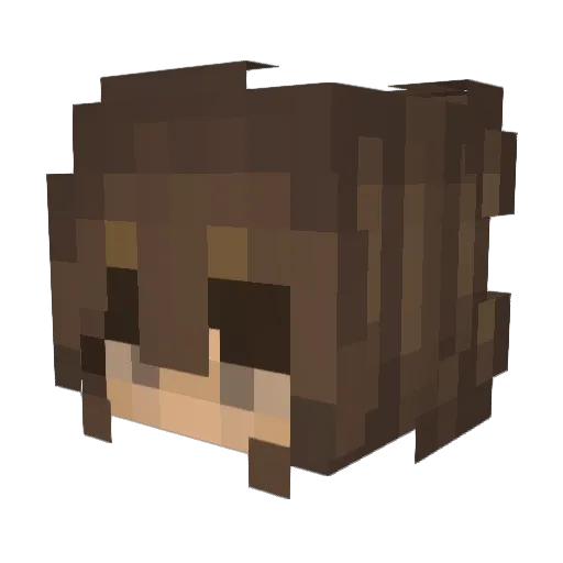 SunyLad Minecraft avatar head, 3D render