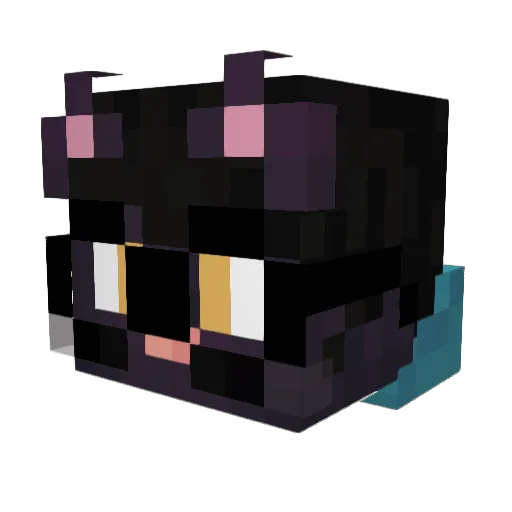SunySumT3r Minecraft avatar head, 3D render