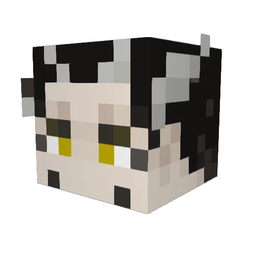Sunya_1201 Minecraft avatar head, 3D render