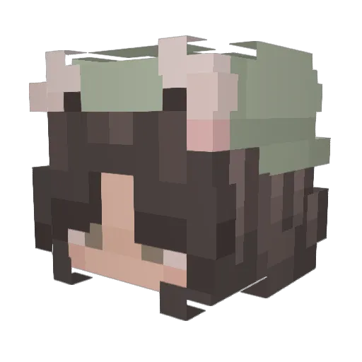 Sunzie_ Minecraft avatar head, 3D render