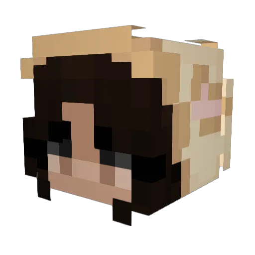 Suolakinuski Minecraft avatar head, 3D render