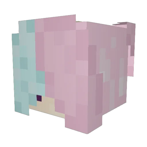 Suonik Minecraft avatar head, 3D render