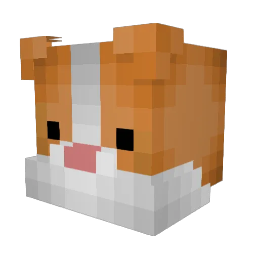 Suor_LP Minecraft avatar head, 3D render