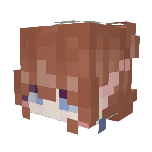 Sup3rN0va_1209 Minecraft avatar head, 3D render