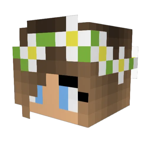 Sup3rNutella Minecraft avatar head, 3D render
