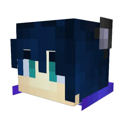 Sup3r_Boom Minecraft avatar head, 3D render