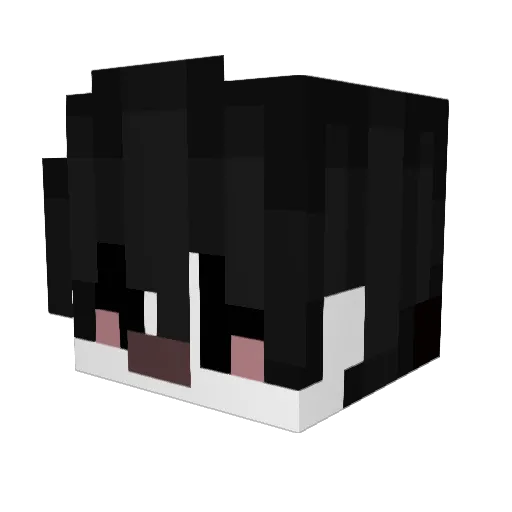 Sup9zz Minecraft avatar head, 3D render