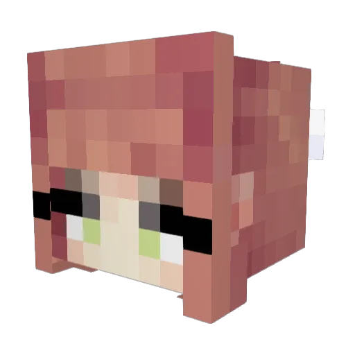 SupaCodPlaya1995 Minecraft avatar head, 3D render
