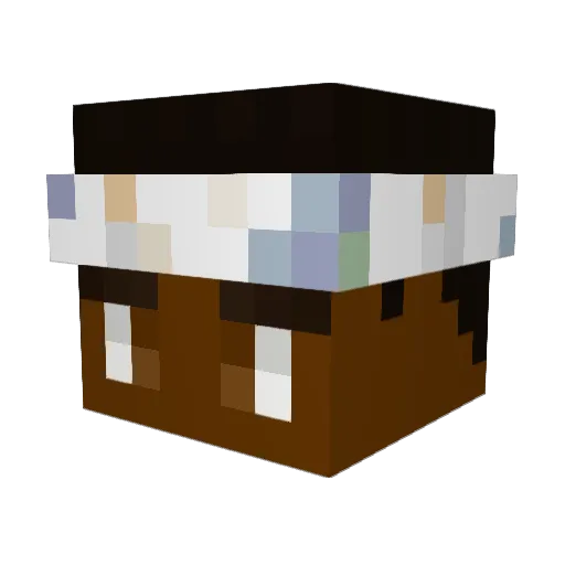 SupaFlyNinjaGuy Minecraft avatar head, 3D render