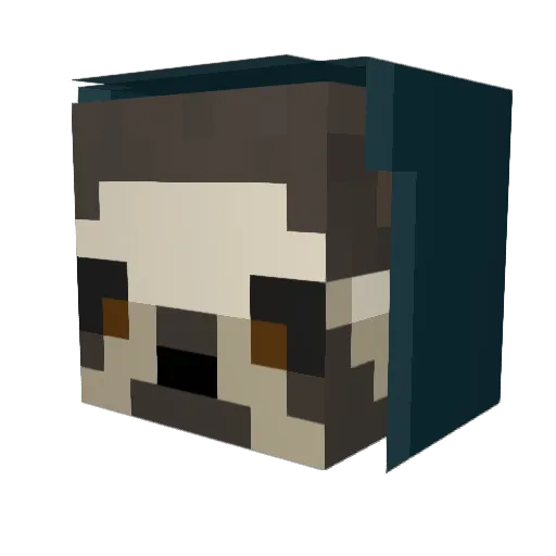 SupaSloth13 Minecraft avatar head, 3D render