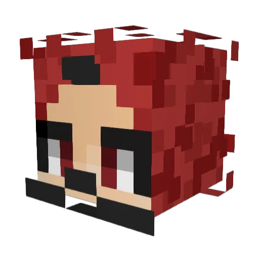 SupaSnax Minecraft avatar head, 3D render