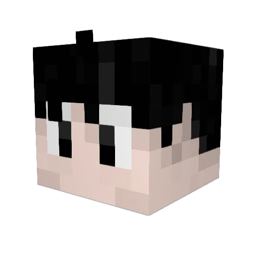 SupaStinger Minecraft avatar head, 3D render