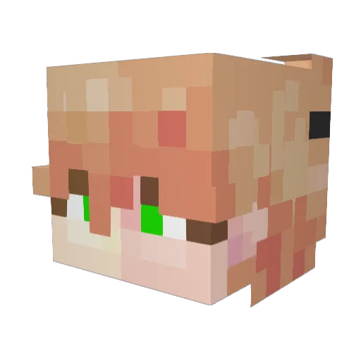 SupahDuk Minecraft avatar head, 3D render
