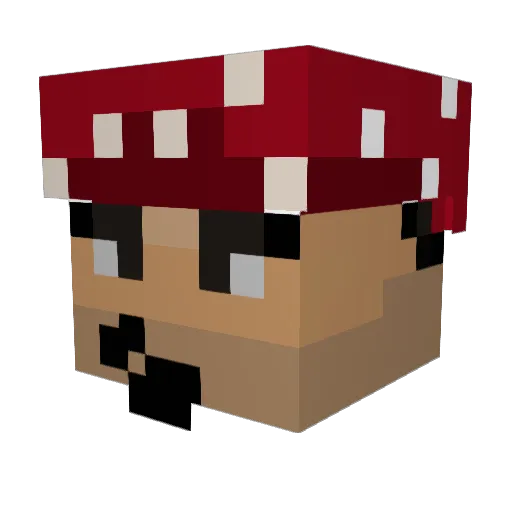 SupahMonky Minecraft avatar head, 3D render