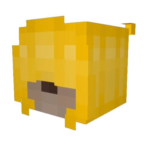 SupahstahWarror Minecraft avatar head, 3D render