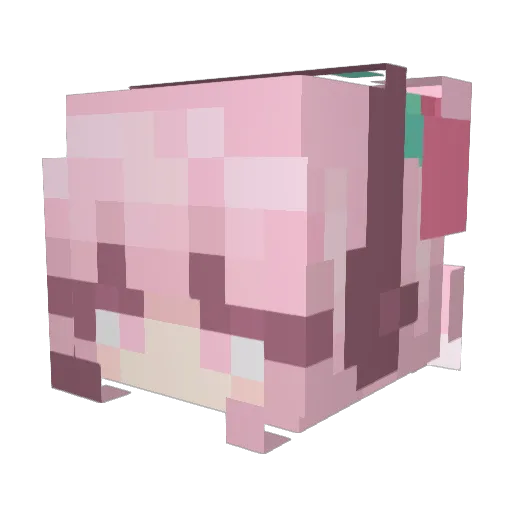 Supakilo Minecraft avatar head, 3D render
