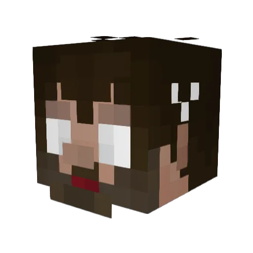 Supasensory Minecraft avatar head, 3D render