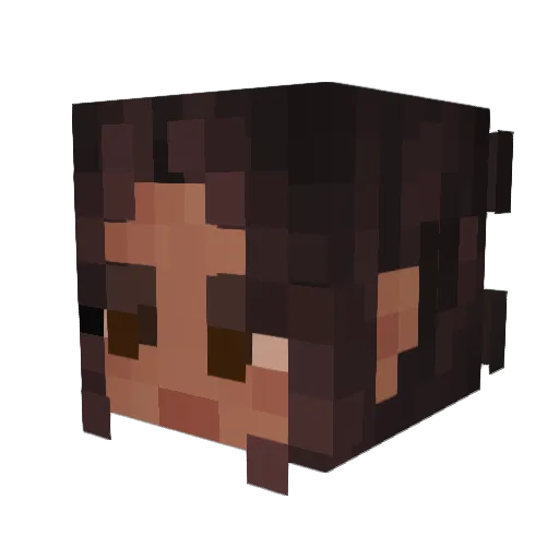 Supbro936 Minecraft avatar head, 3D render
