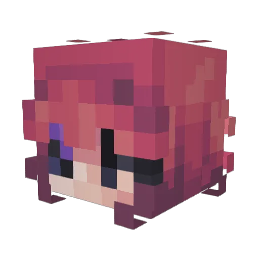 Supcomfreak Minecraft avatar head, 3D render