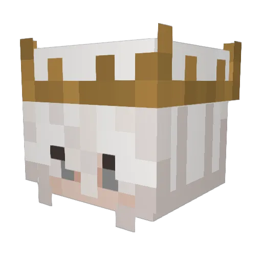 Supdog2011 Minecraft avatar head, 3D render
