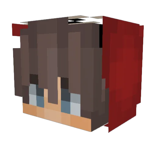 SuperAlex526 Minecraft avatar head, 3D render