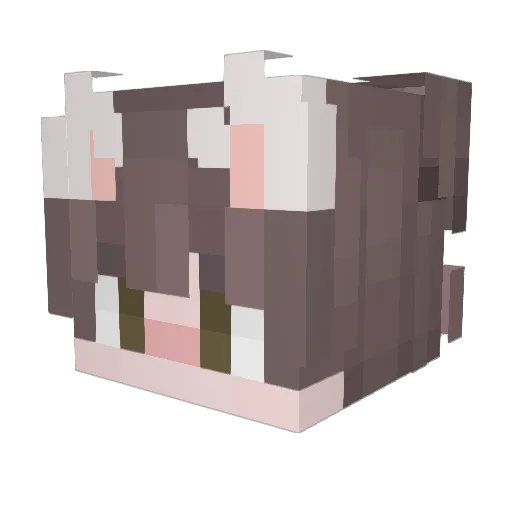SuperAlfred9665 Minecraft avatar head, 3D render