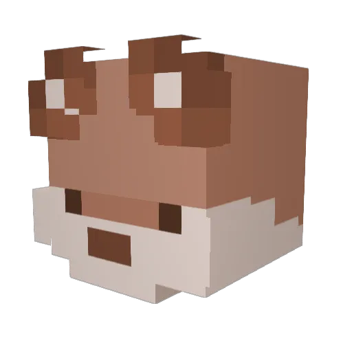 SuperAmber Minecraft avatar head, 3D render