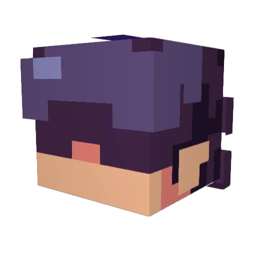 SuperArcher2010 Minecraft avatar head, 3D render
