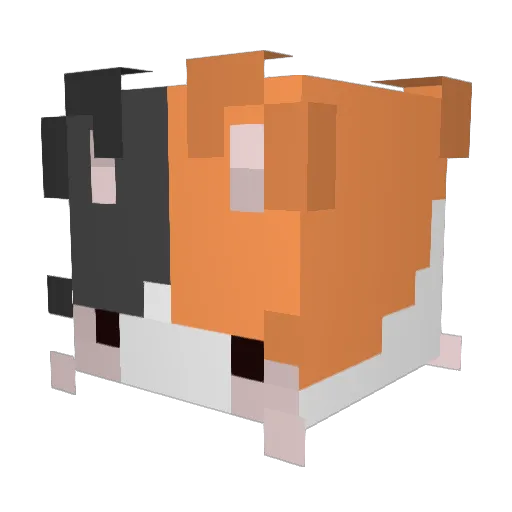 SuperArpig81 Minecraft avatar head, 3D render