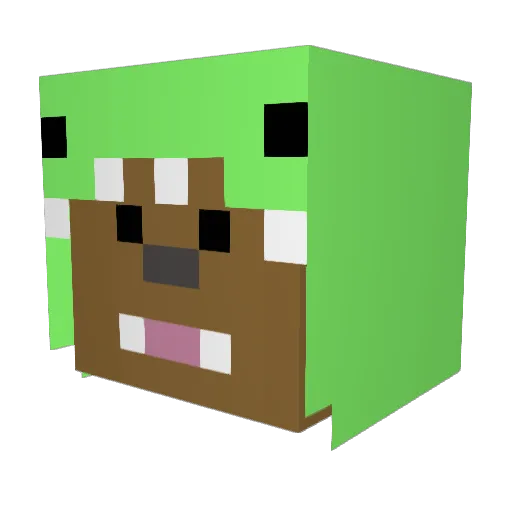 SuperBacca1209 Minecraft avatar head, 3D render