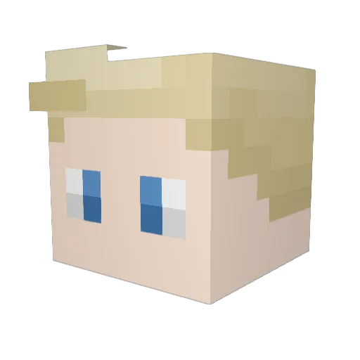 SuperBatmanHank Minecraft avatar head, 3D render