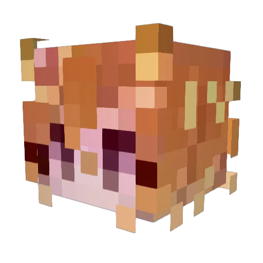 SuperBaum32 Minecraft avatar head, 3D render