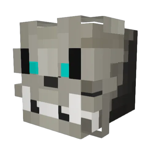 SuperBean35 Minecraft avatar head, 3D render