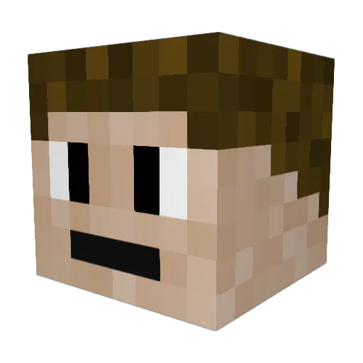 SuperBee1243 Minecraft avatar head, 3D render