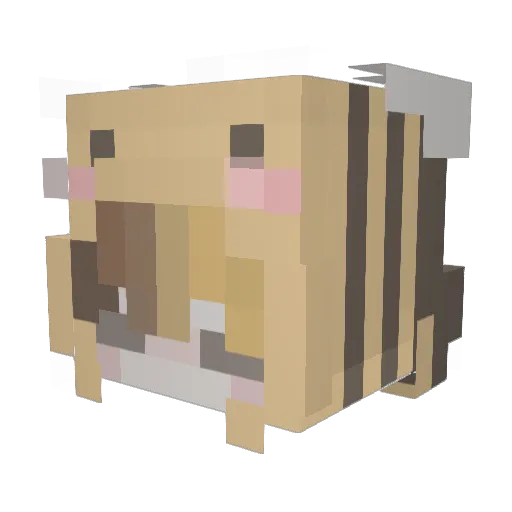 SuperBeeeee Minecraft avatar head, 3D render