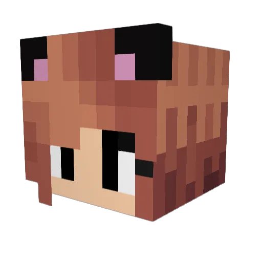 SuperBellaBus Minecraft avatar head, 3D render