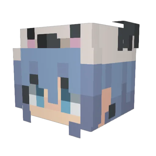 SuperBree2004 Minecraft avatar head, 3D render