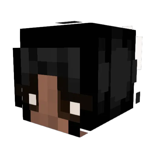 SuperBreeze21 Minecraft avatar head, 3D render