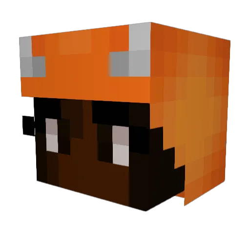 SuperBurgerBoy Minecraft avatar head, 3D render