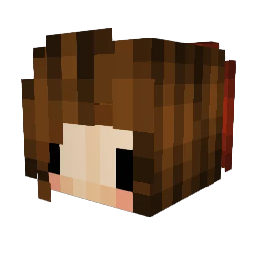SuperC876 Minecraft avatar head, 3D render